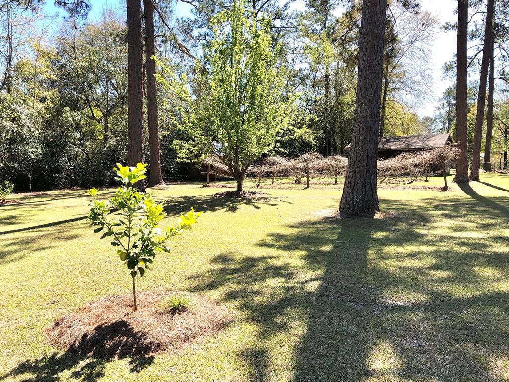 1409 10th St SE, Moultrie, GA 31768